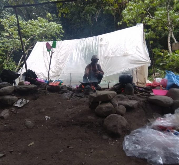 3D 2N Ketambe Jungle Trekking