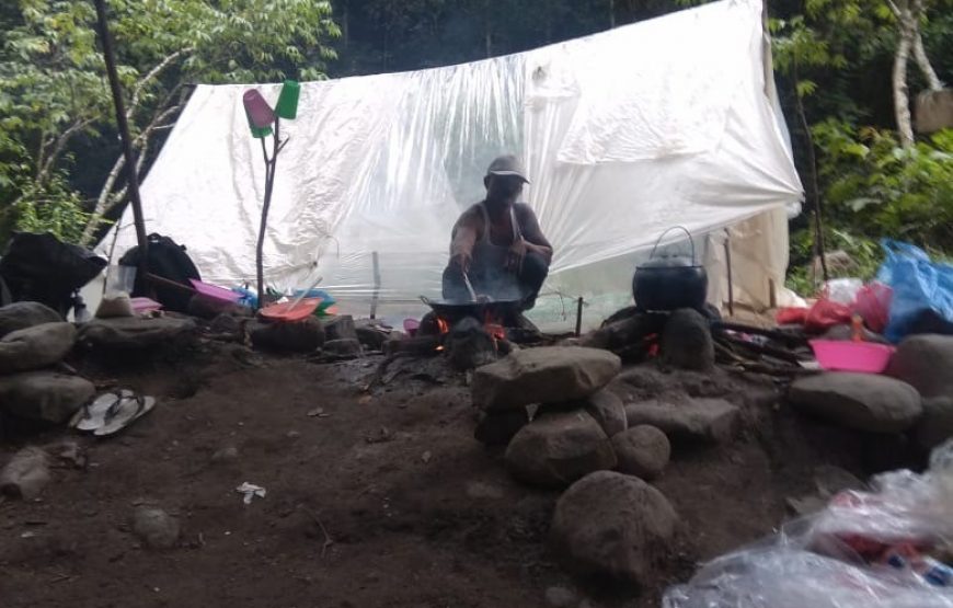 3D 2N Ketambe Jungle Trekking