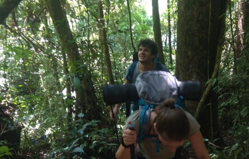 3D 2N Ketambe Jungle Trekking