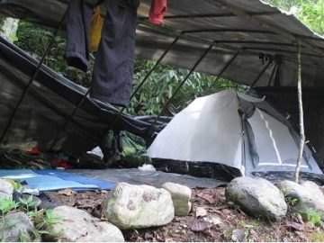 Bukit Lawang –  2D 1N Jungle Trekking