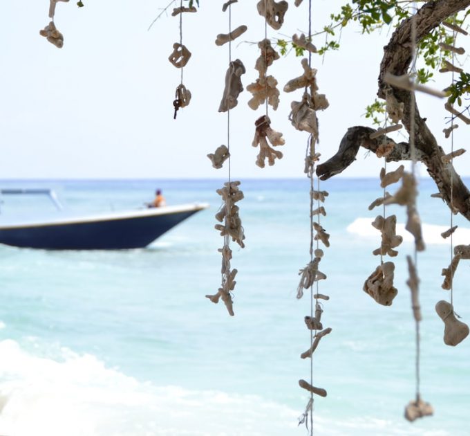 2D 1N Camping at Gili Kondo