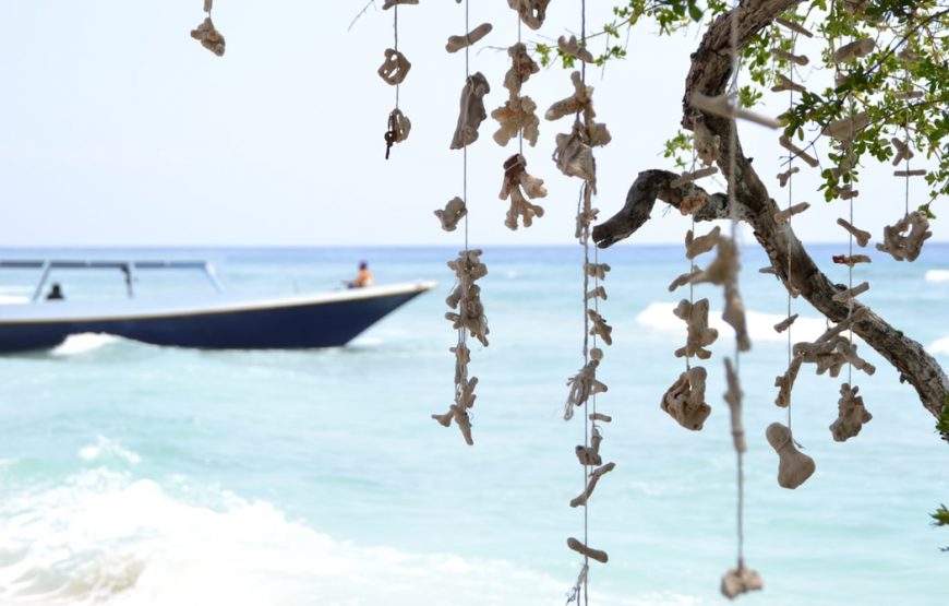 2D 1N Camping at Gili Kondo