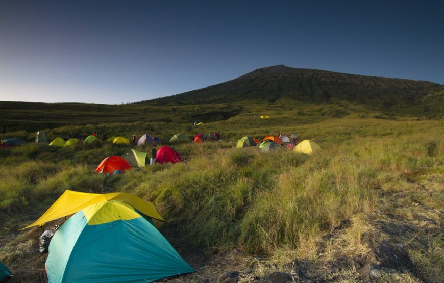 2D 1N Wild Flower Walk with Camping Rinjani